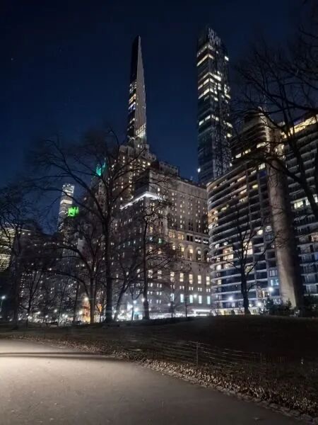 纽约中央公园夜景